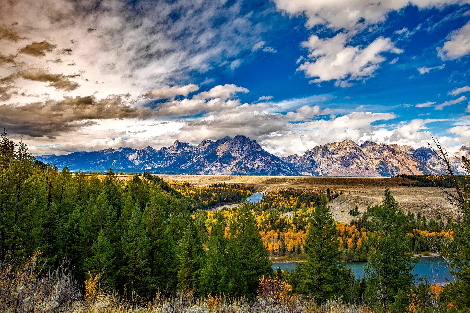 Wyoming CPA Requirements for Continuing Professional Education