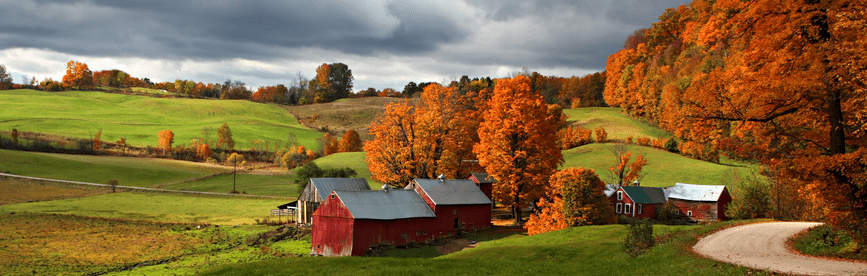 Vermont CPA CPE Requirements [Updated 2024]